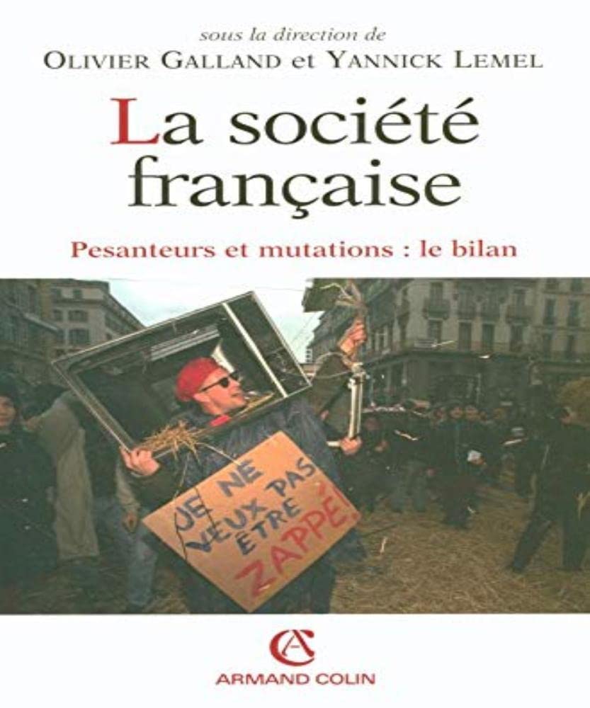 La société française: Pesanteur et mutation : le bilan book