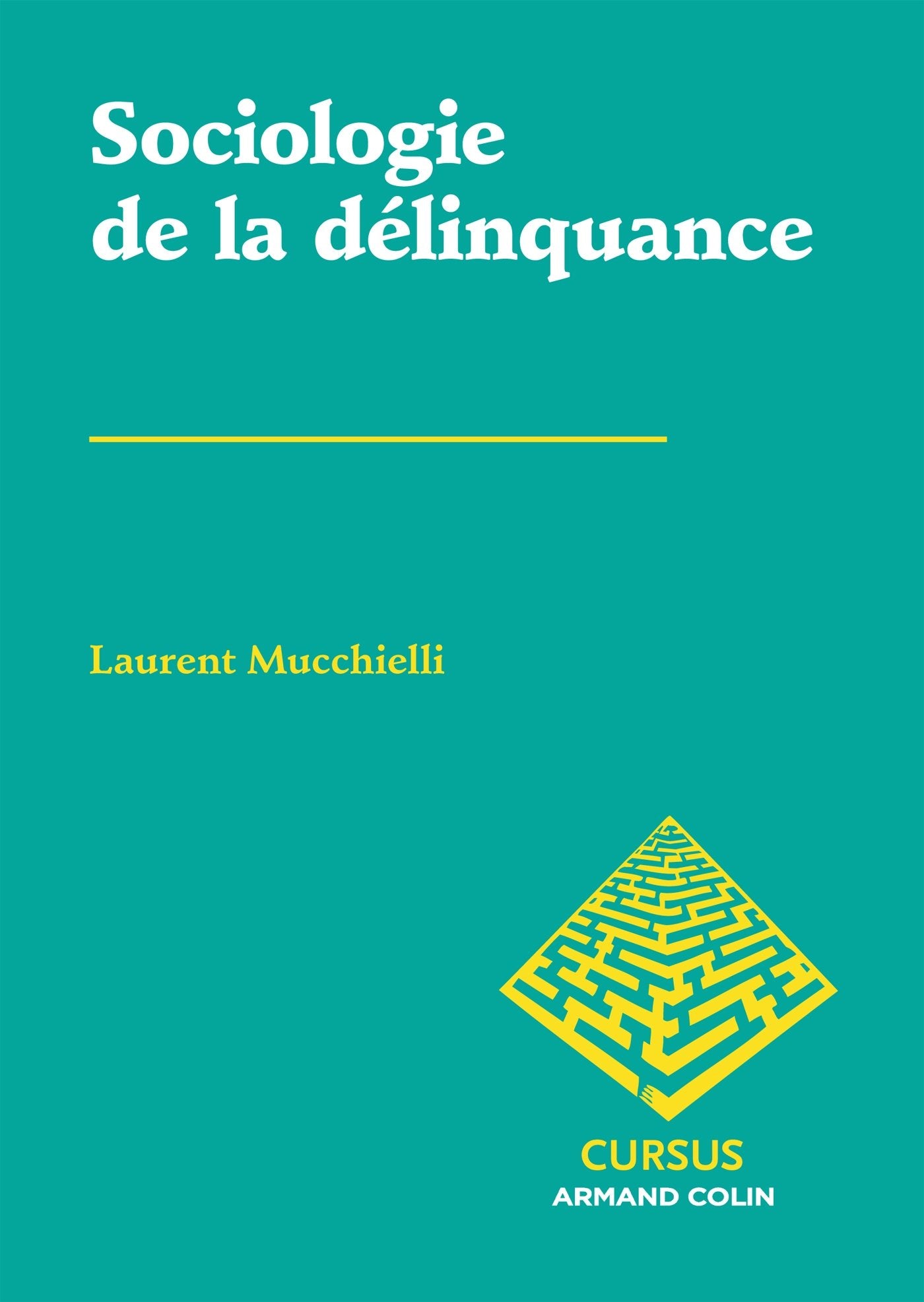 Sociologie de la délinquance book