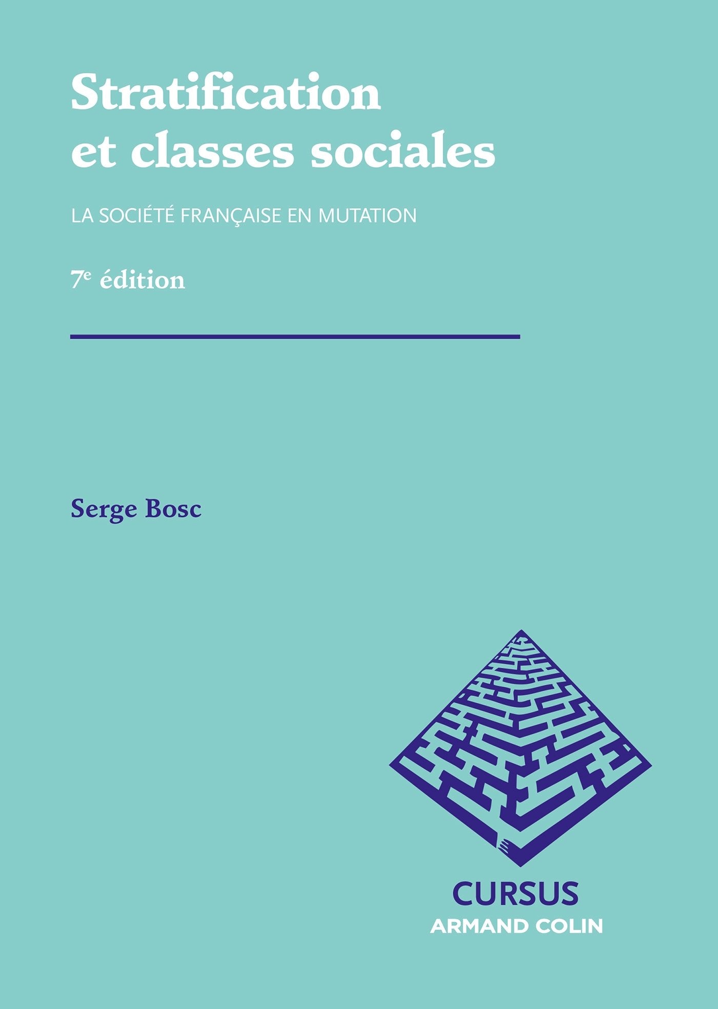 Stratification et classes sociales: La société française en mutation book