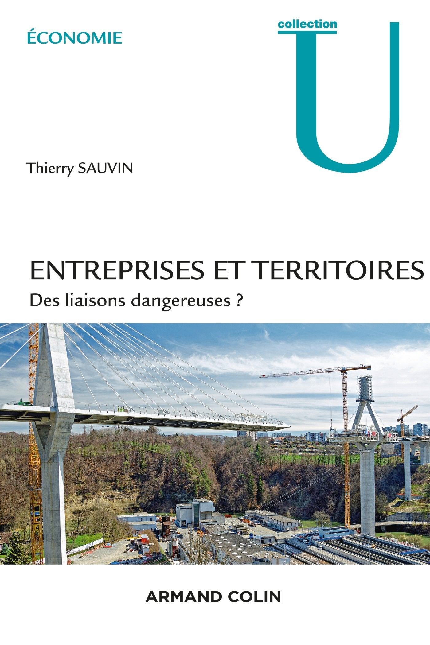 Entreprises et territoires - Des liaisons dangereuses ?: Des liaisons dangereuses ? book