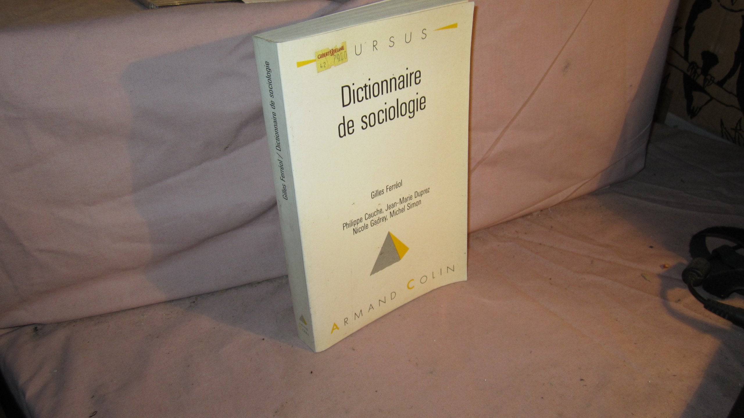 Dictionnaire de sociologie book