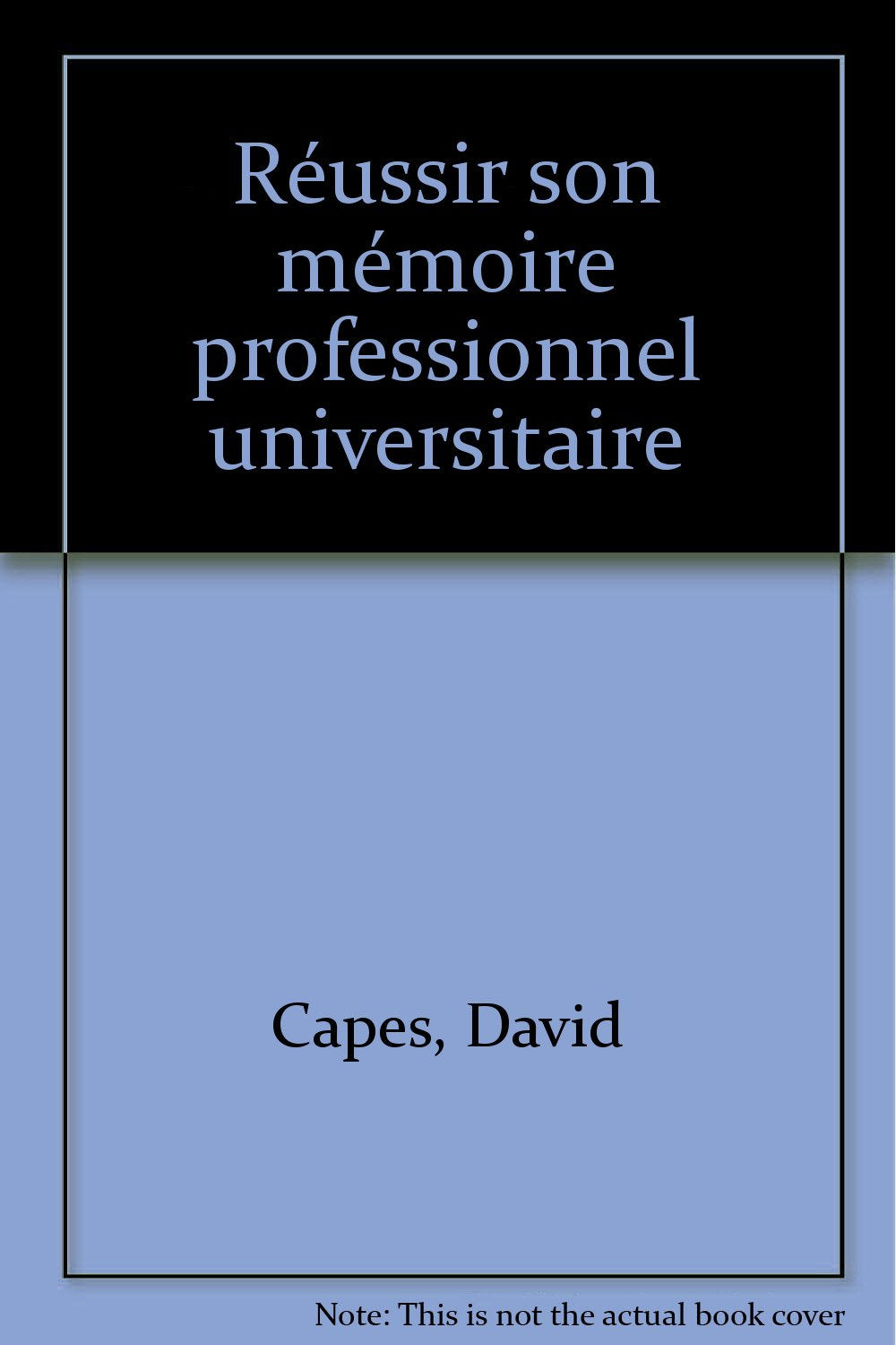 Réussir son mémoire professionnel universitaire book