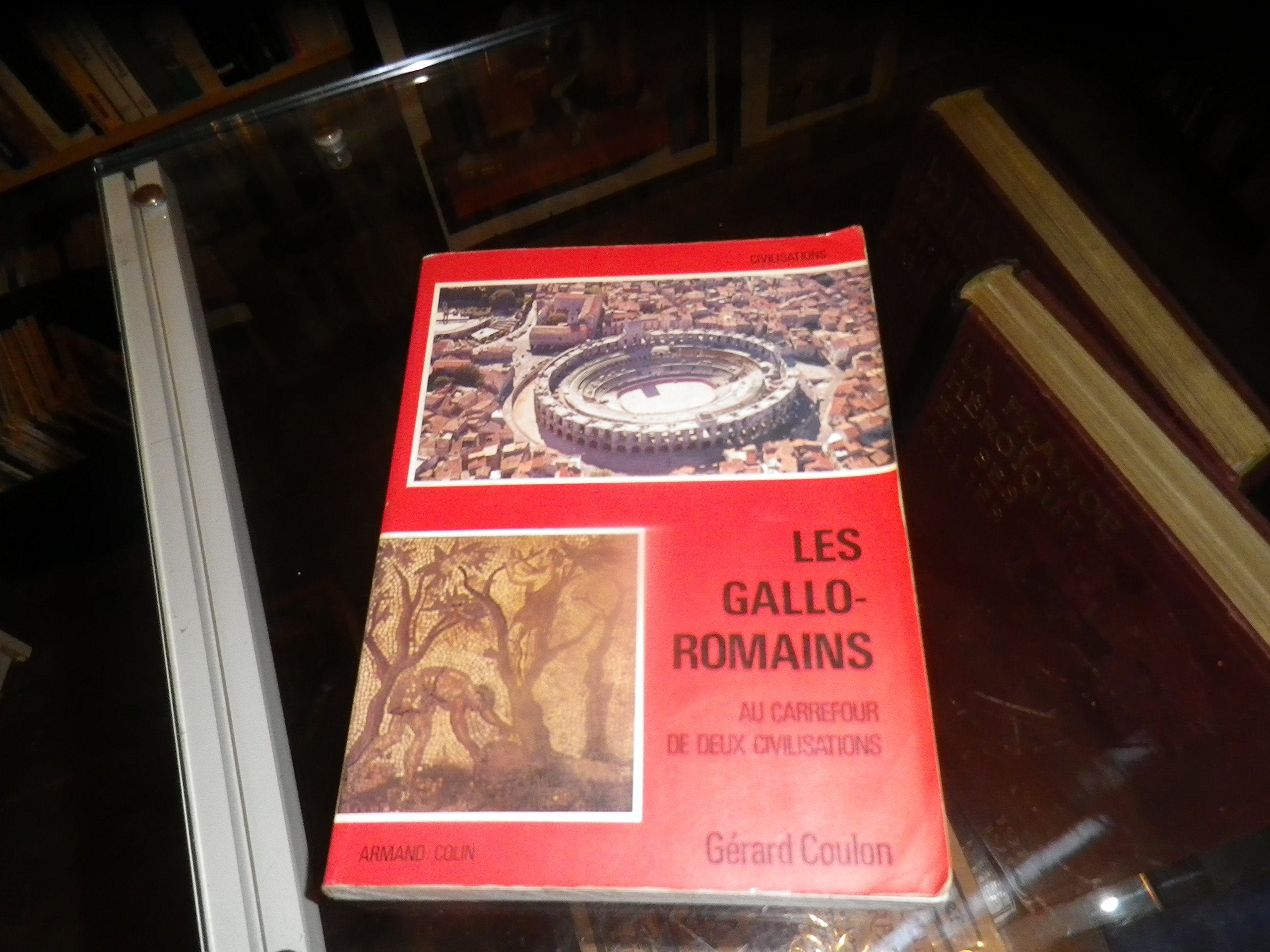 Les Gallo-romains au carrefour de deux civilisations book