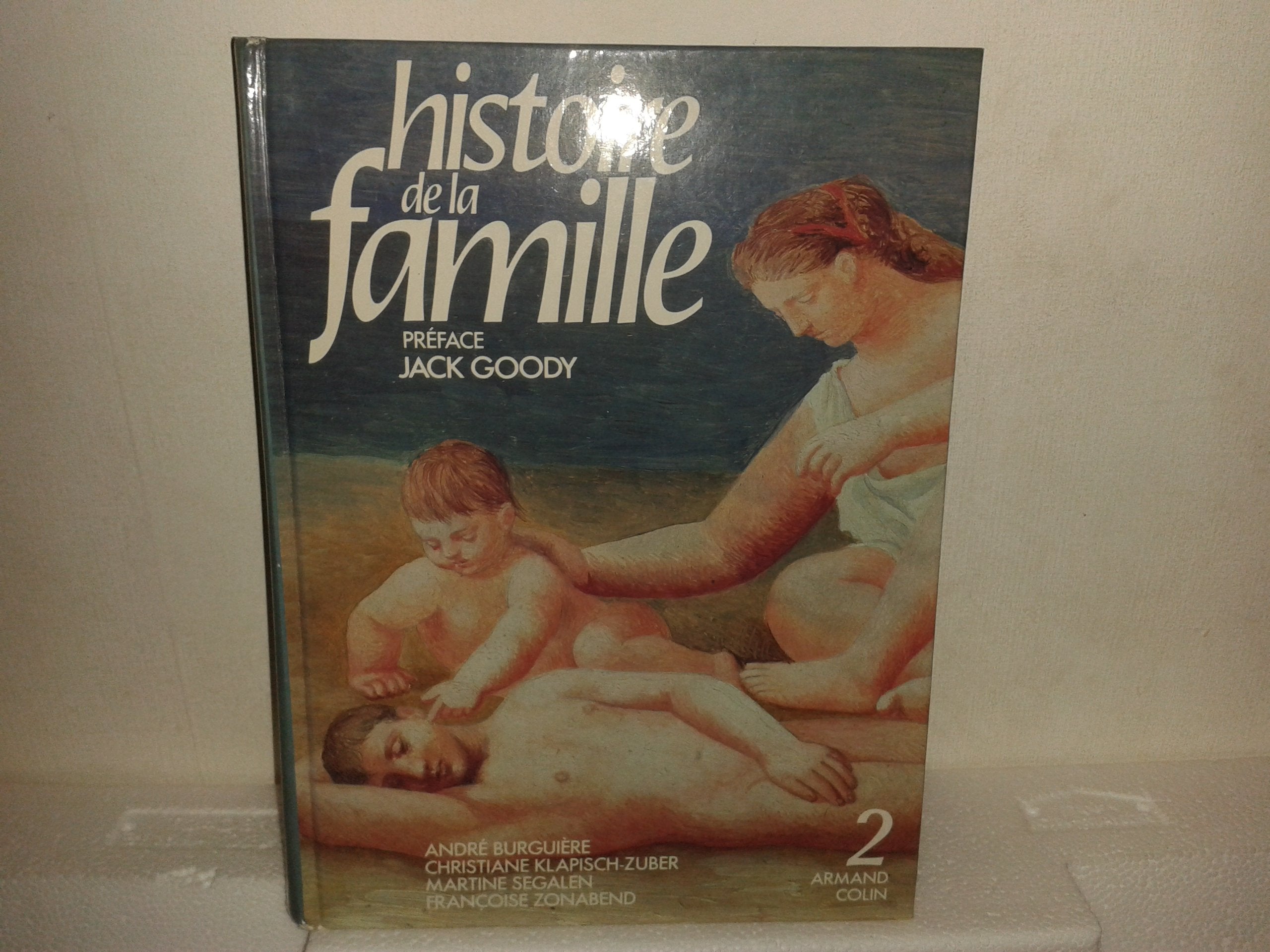 Histoire de la famille book