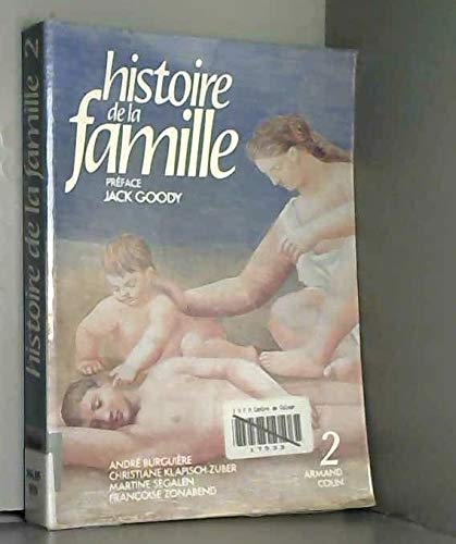Histoire de la famille. Vol. 2. Le Choc des modernités Books