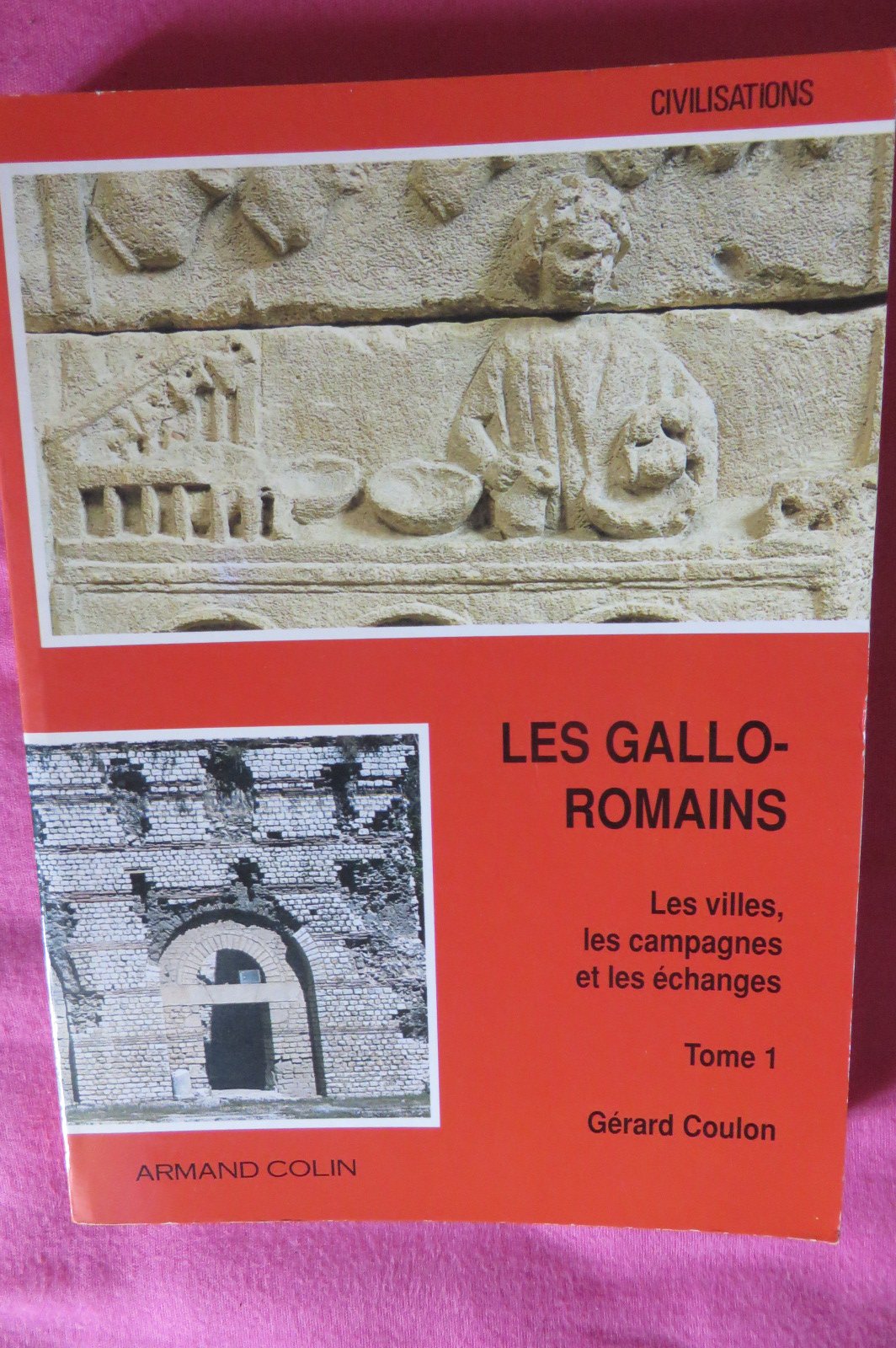 Les gallo romains t1 : les villes, les campagnes et les échanges book