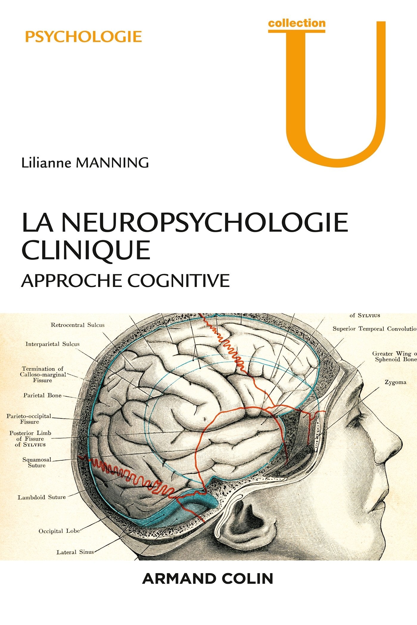 La neuropsychologie clinique - 2e éd. - NP - Approche cognitive: Approche cognitive Medicine