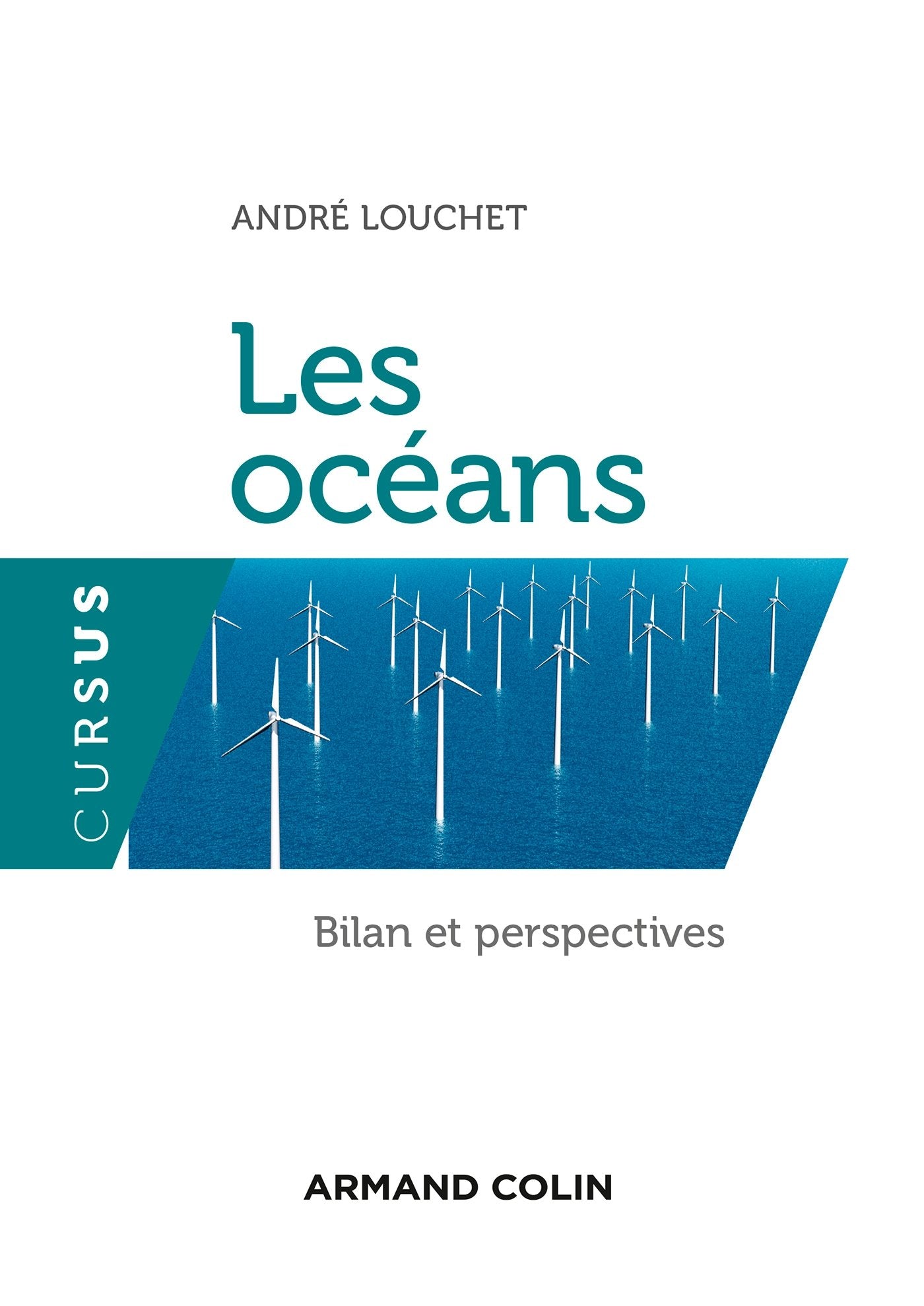 Les océans. Bilan et perspectives: Bilan et perspectives book
