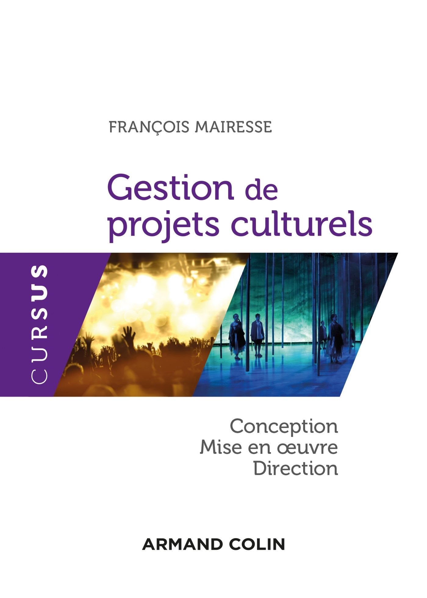 Gestion de projets culturels - Conception, mise en oeuvre, direction: Conception, mise en oeuvre, direction Social Sciences