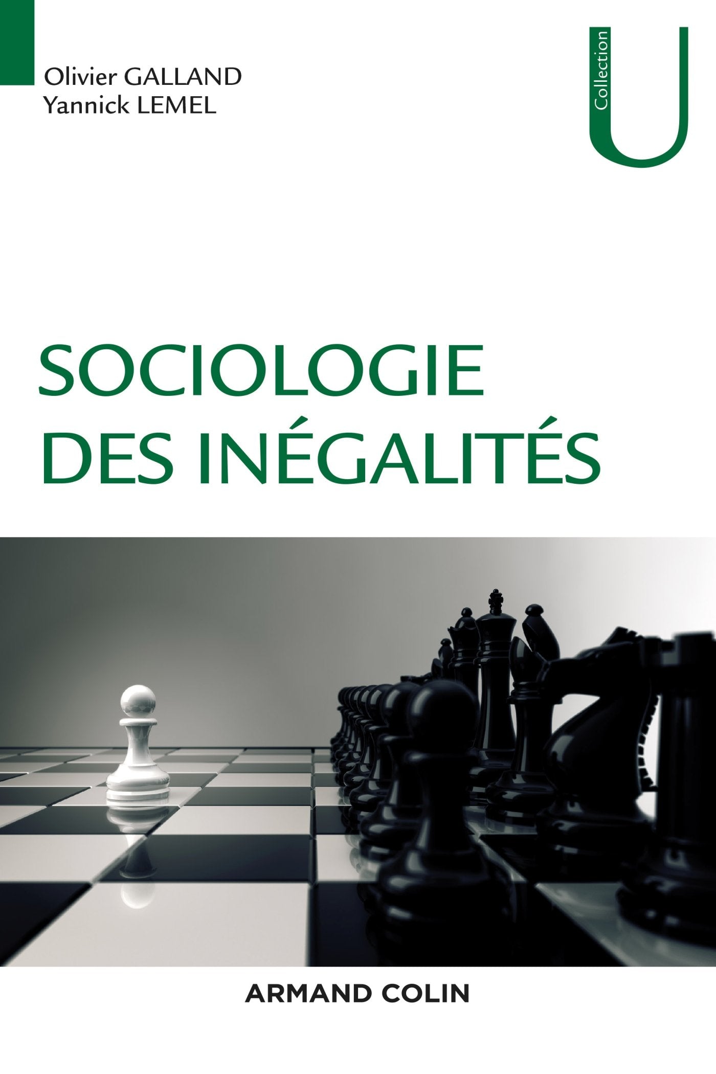 Sociologie des inégalités book