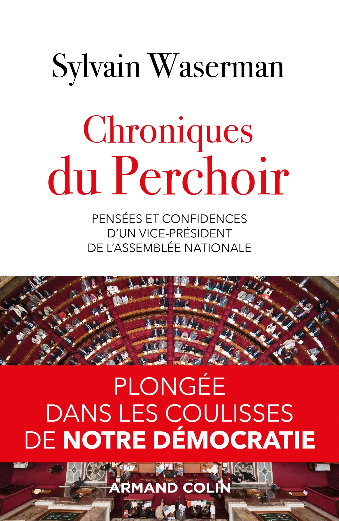 Chroniques du Perchoir - Pensées et confidences d'un vice-président de l'Assemblée nationale: Pensées et confidences d'un vice-président de l'Assemblée nationale Politics & History
