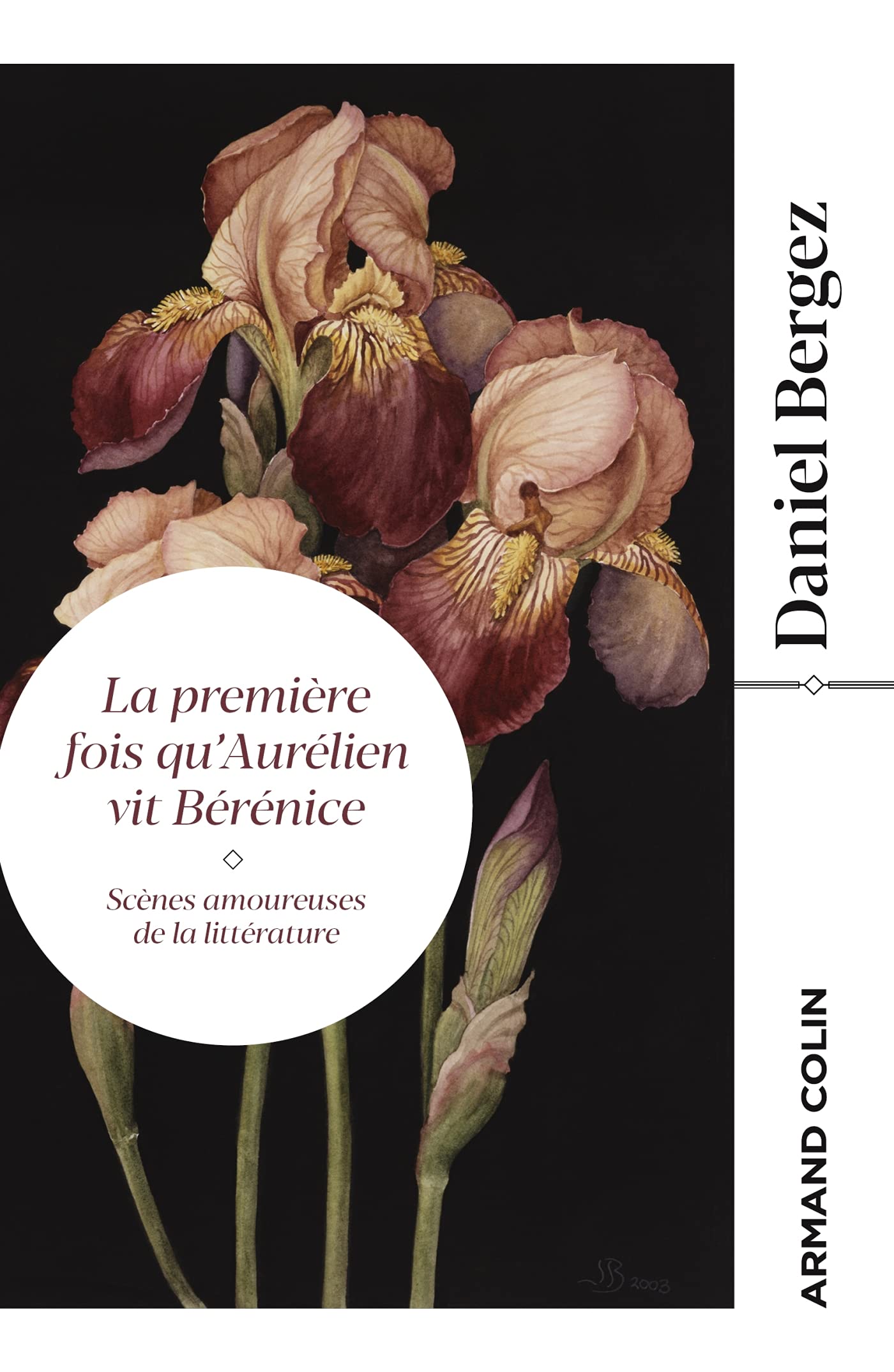 La première fois qu'Aurélien vit Bérénice - Scènes amoureuses de la littérature book