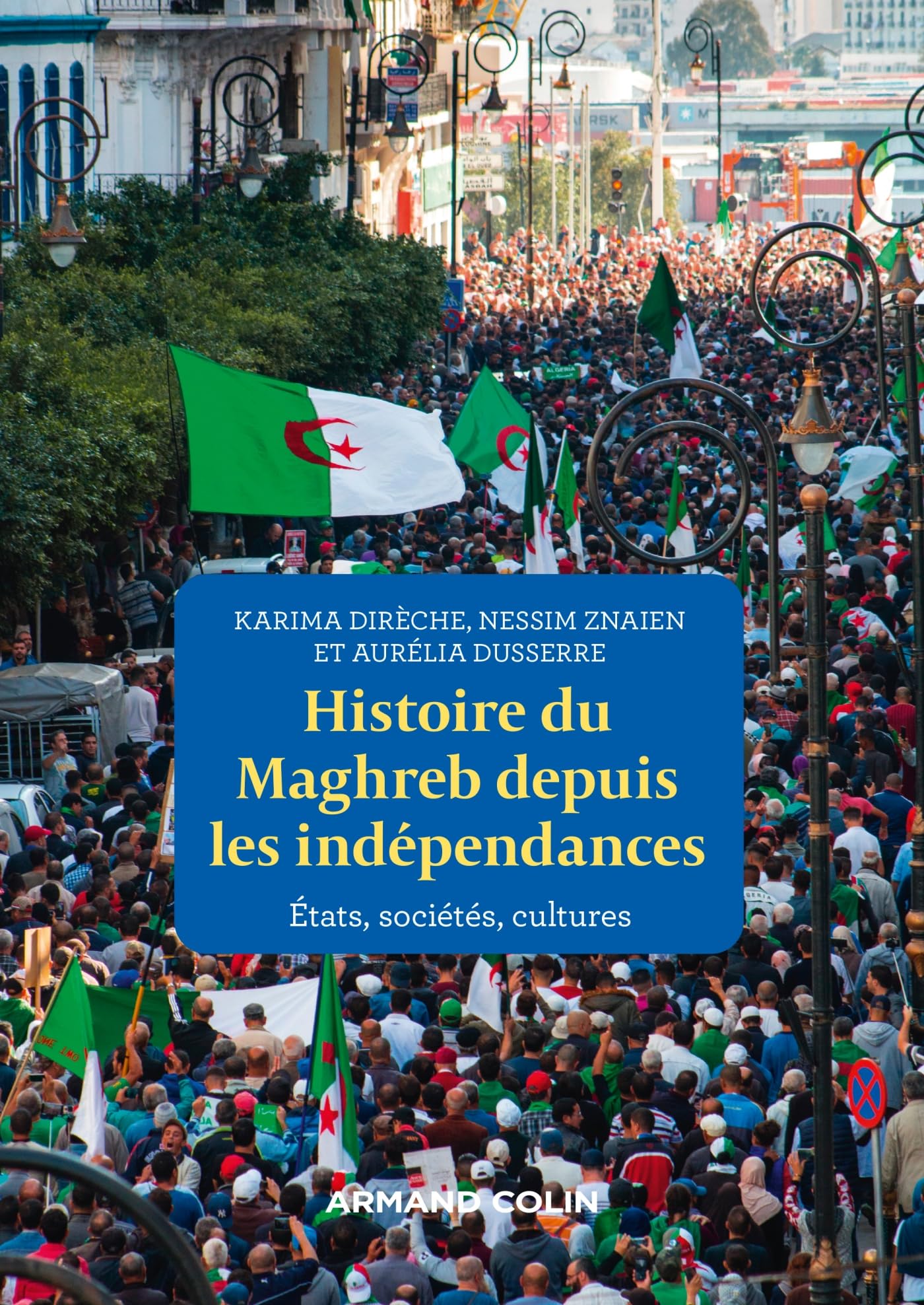 Histoire du Maghreb depuis les indépendances: États, sociétés, cultures Politics & History