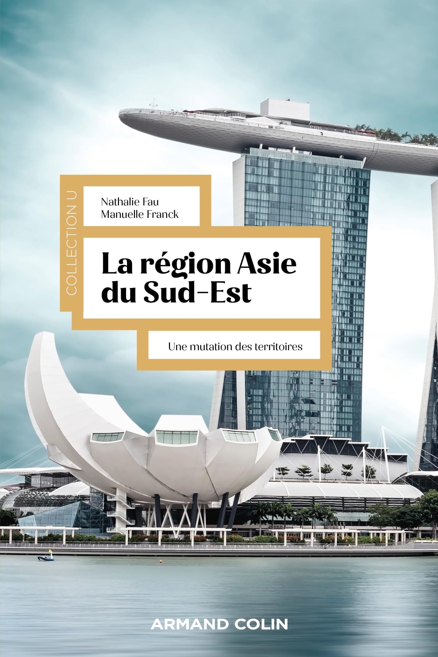La région Asie du Sud-Est - 2e éd.: Une mutation des territoires book
