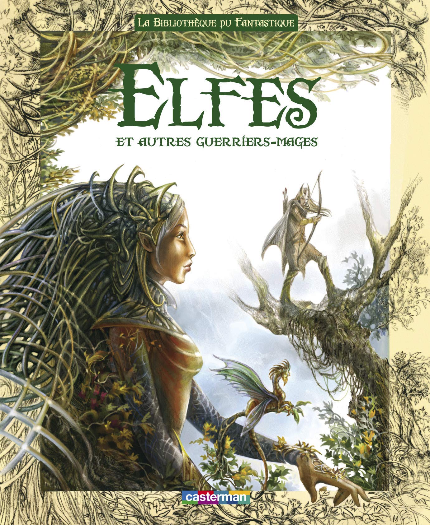 Elfes et autres guerriers mages book