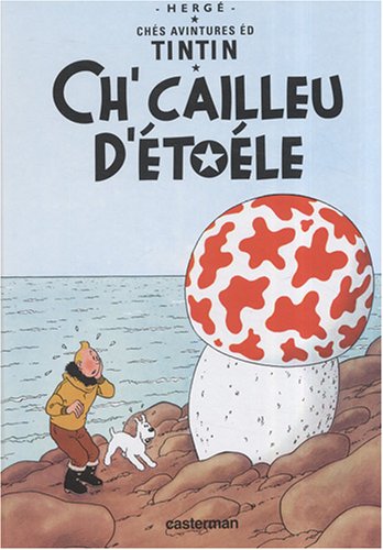 tintin picard vimeu ponthieu L'etoile mysterieuse book