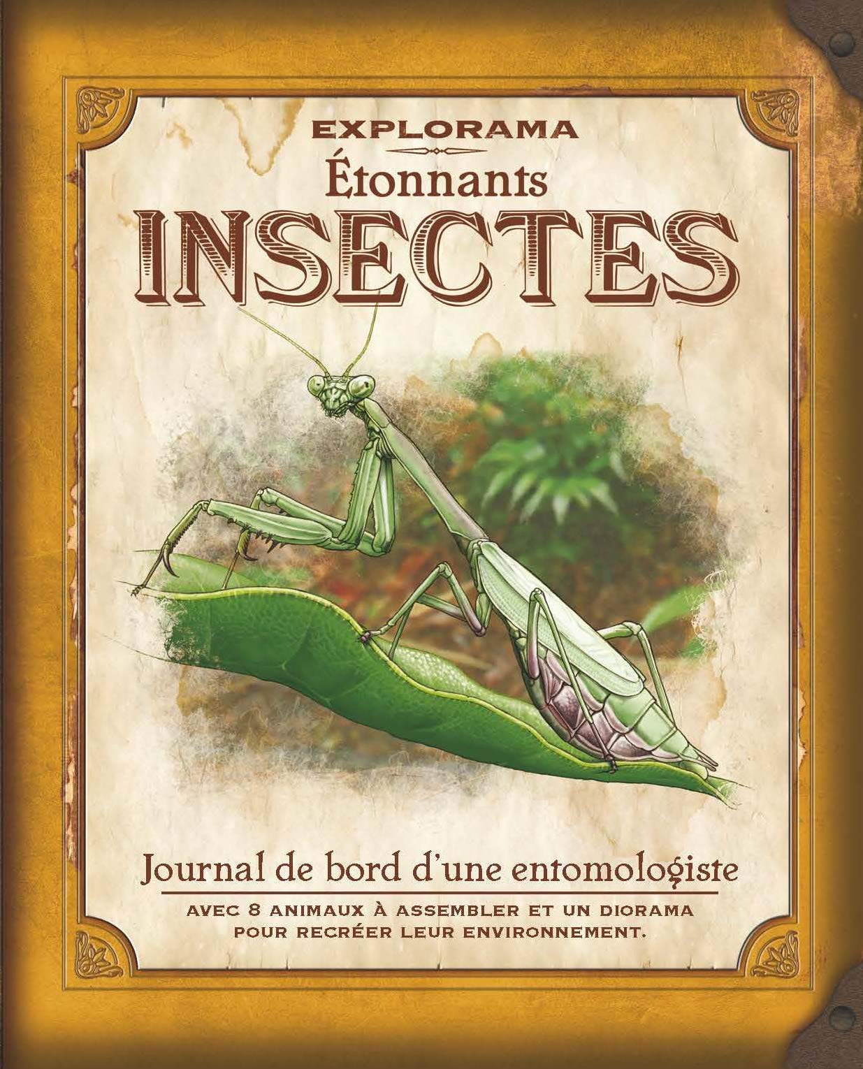 Etonnants insectes: Journal de bord d'une entomologiste Children's books