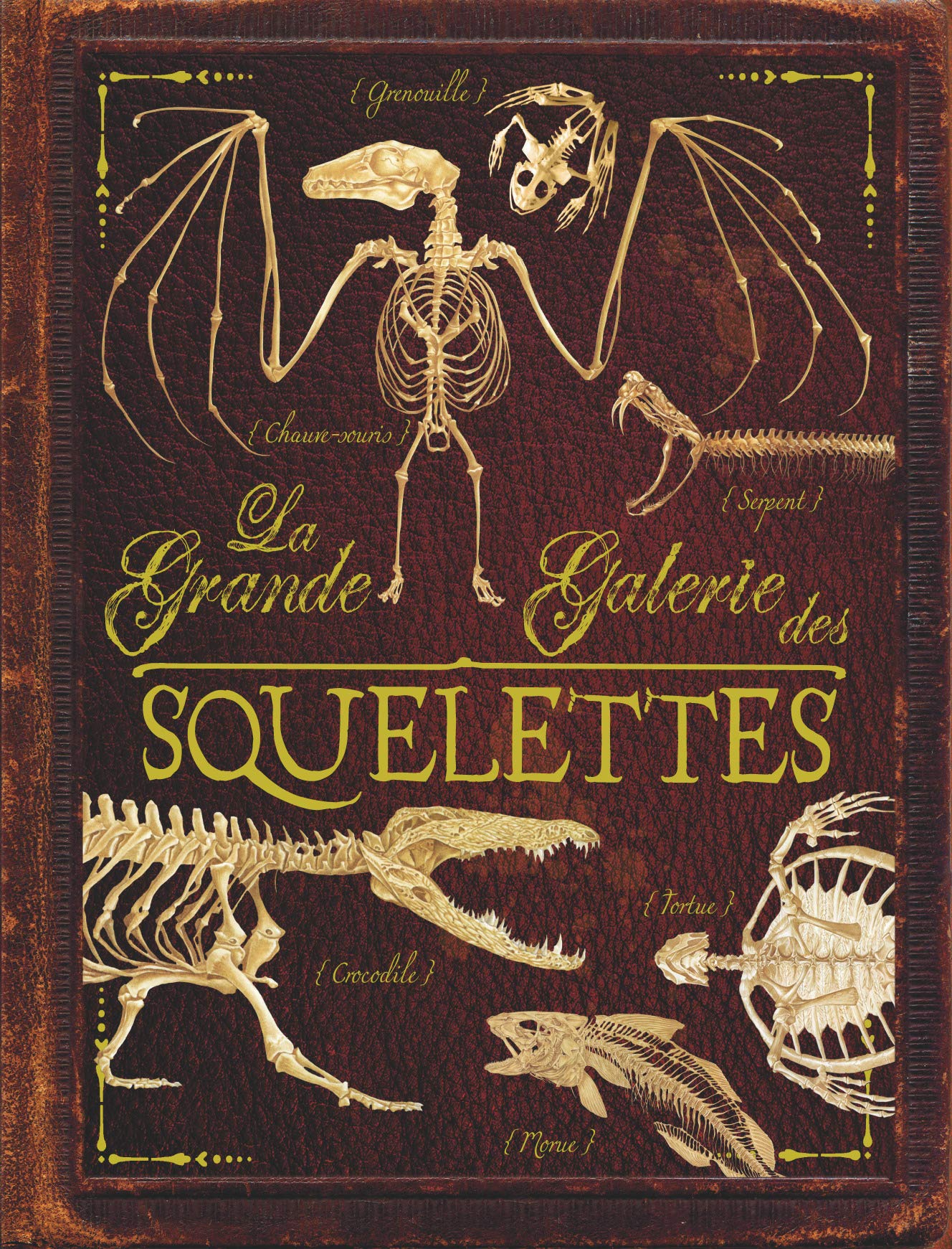 La grande galerie des squelettes Children's books