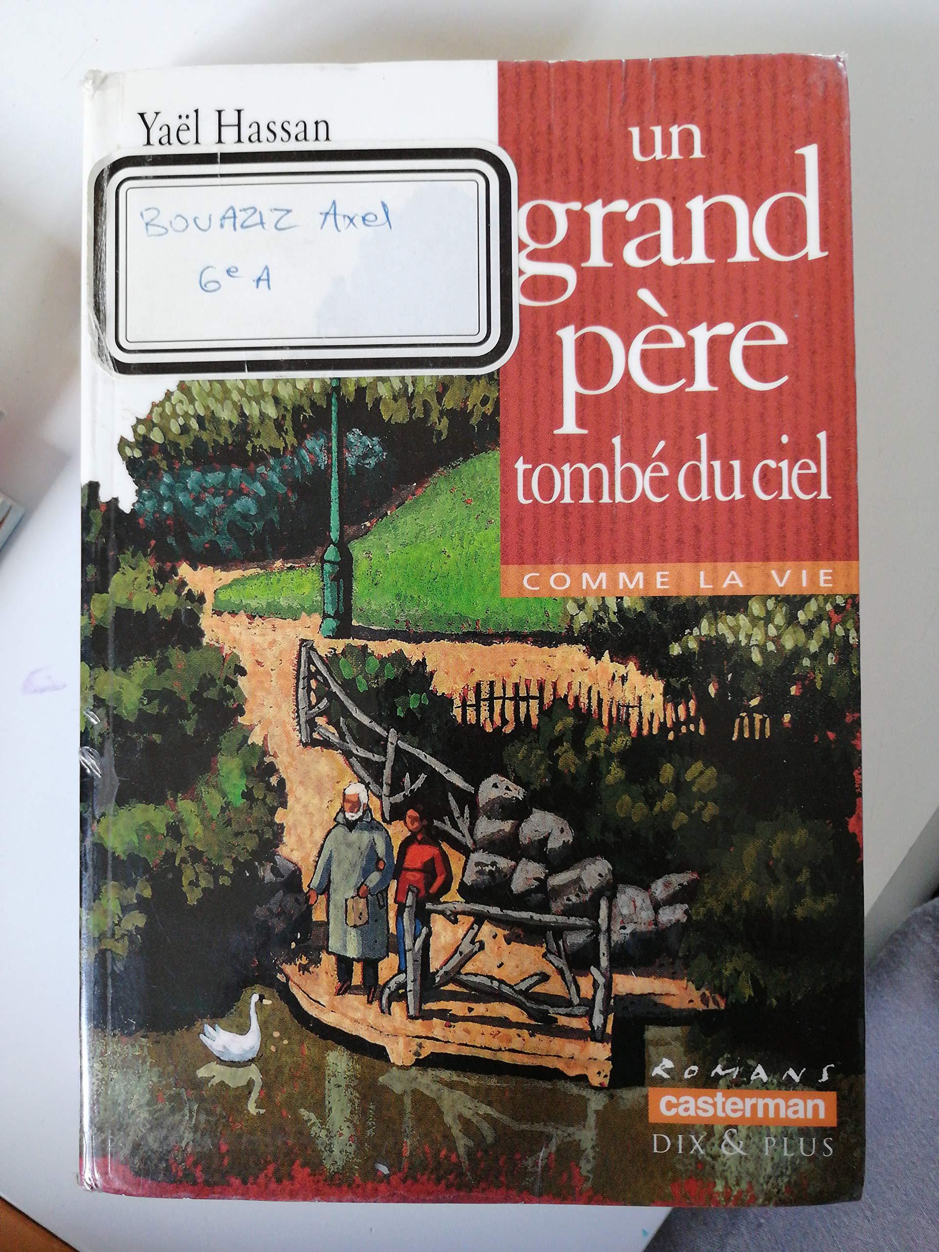 Un Grand-Pere Tombe Du Ciel book