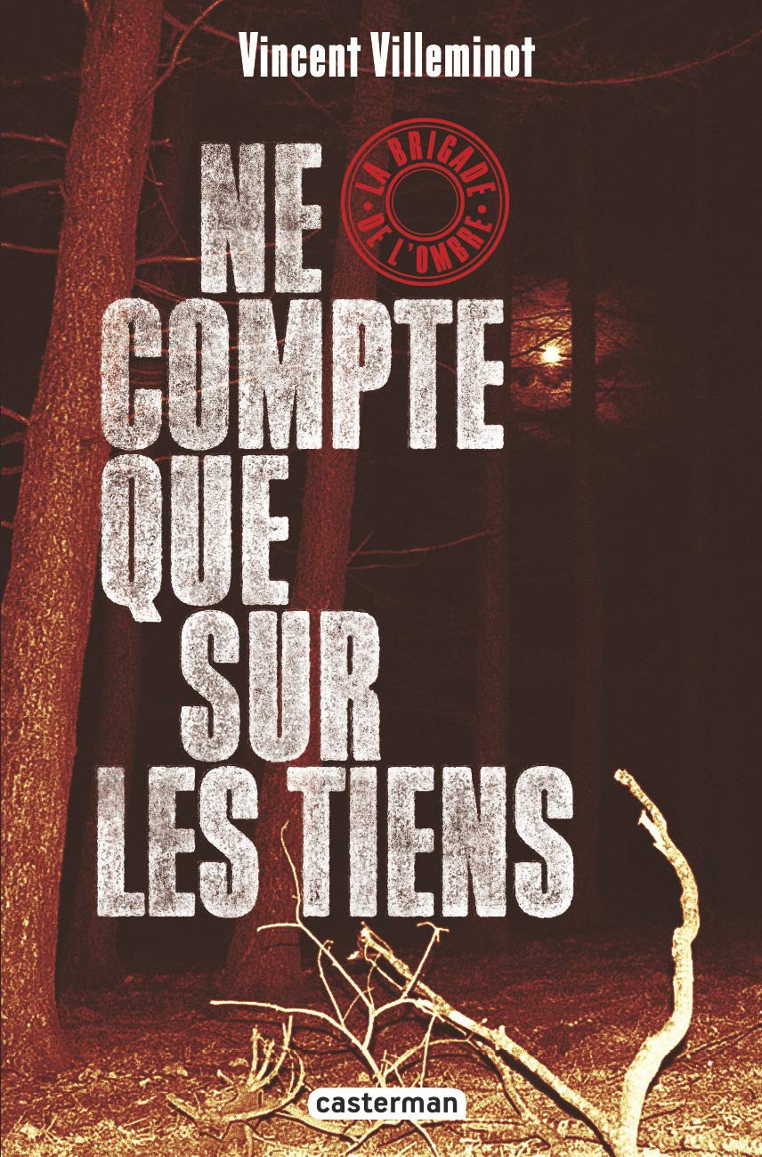 La brigade de l'ombre: Ne compte que sur les tiens (3) book