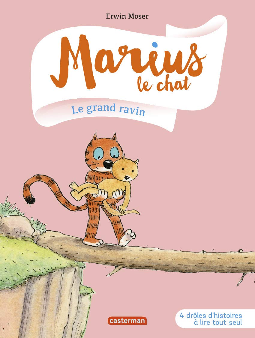 Le grand ravin: 4 drôles d'histoires à lire tout seul book
