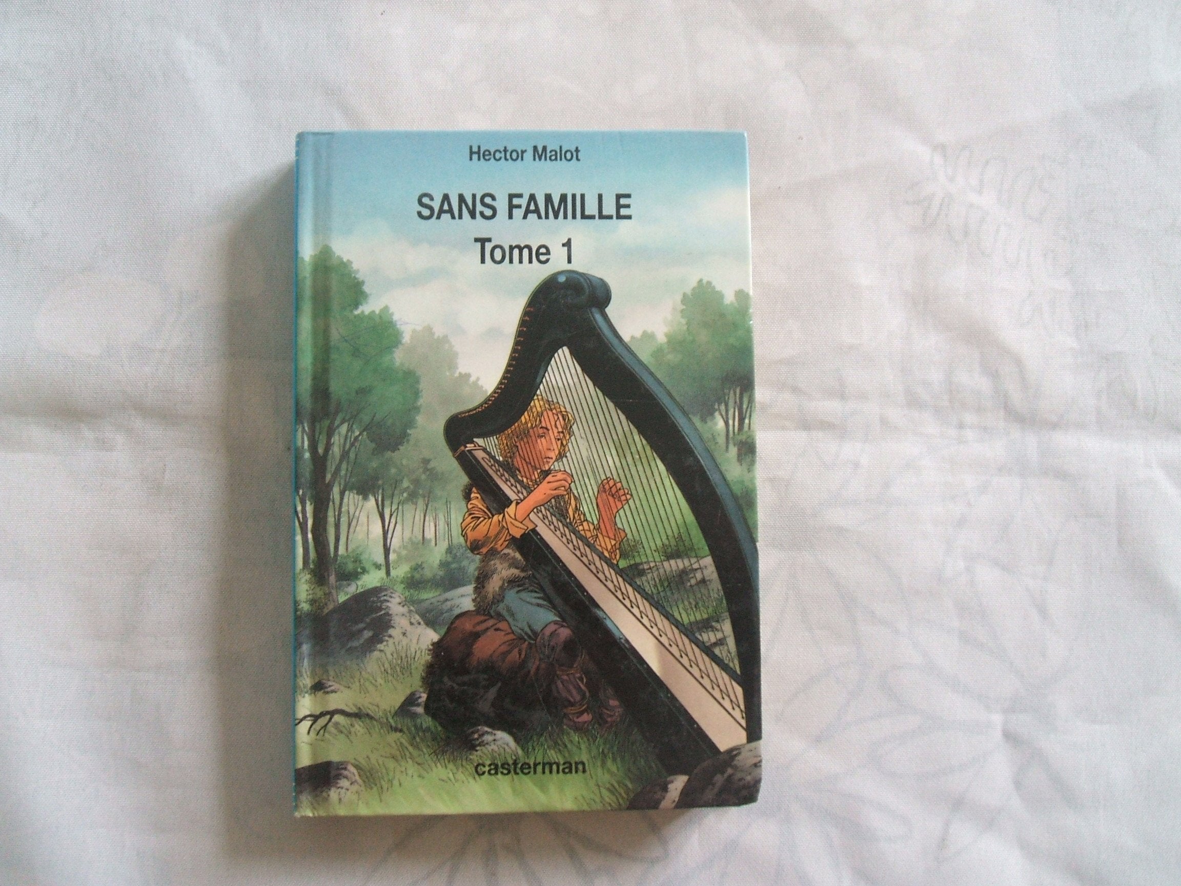 Sans famille Tome 1 book