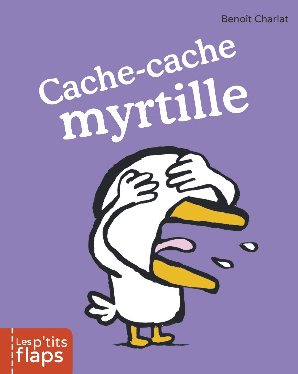 Cache-cache myrtille book