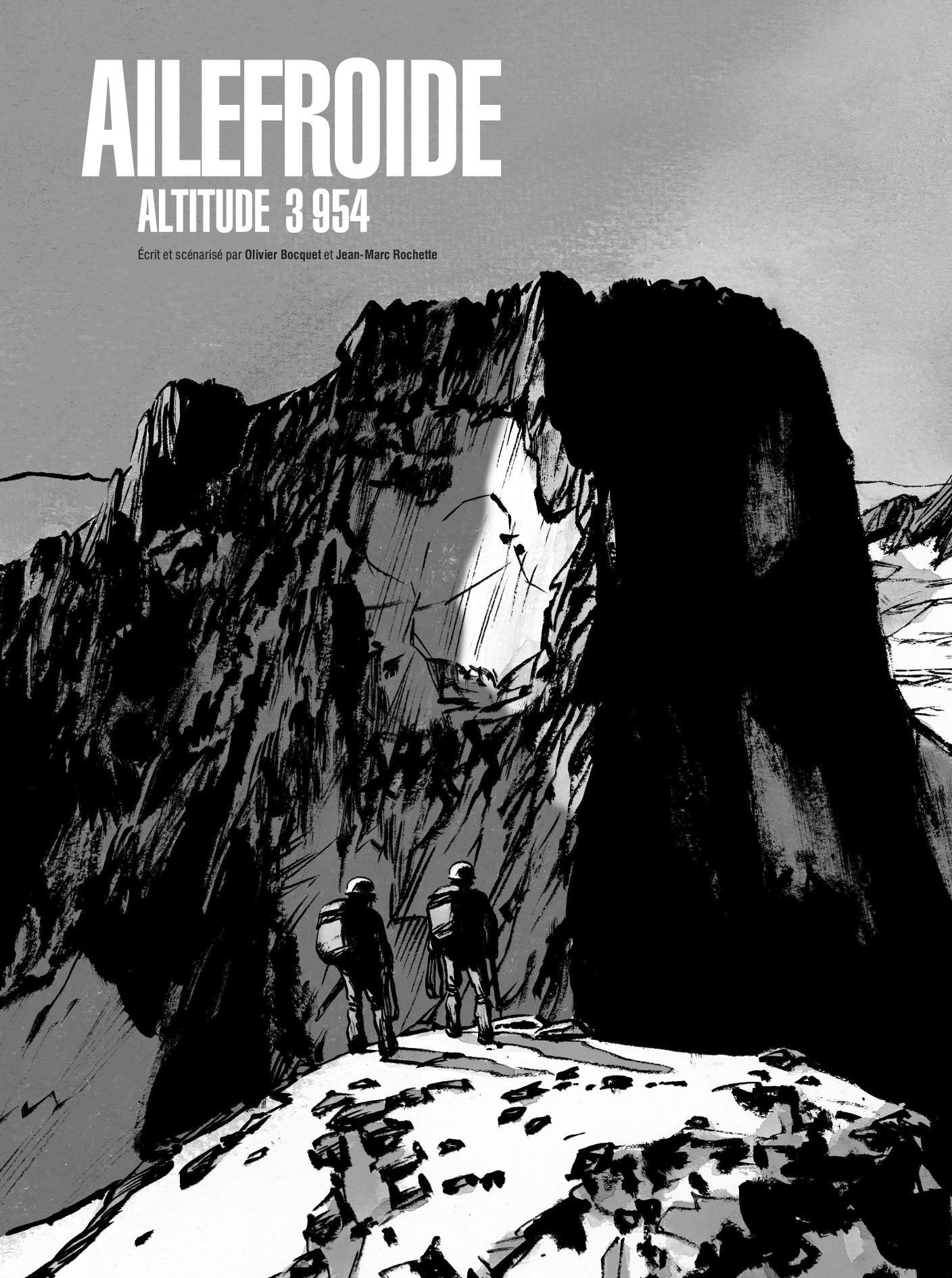 Ailefroide - Edition Luxe: Altitude 3954 book