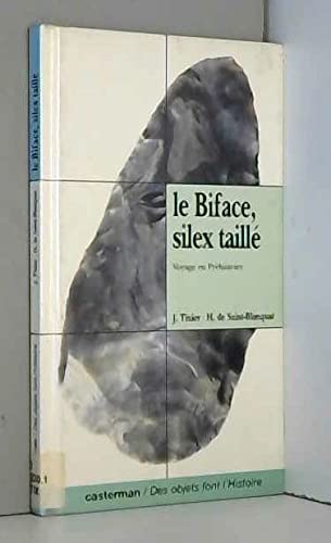 Le biface, silex taillé: Voyage en préhistoire book