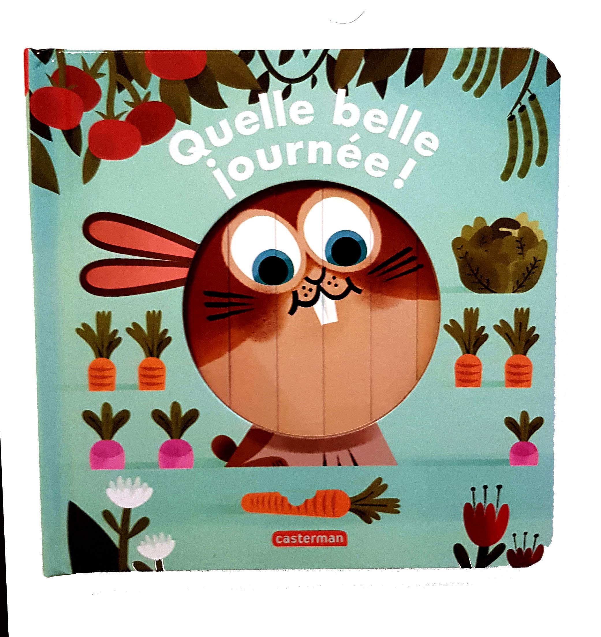Les livres magiques - Quelle belle journée ! book