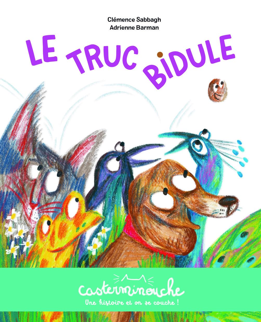 Casterminouche - Le truc bidule: Petits albums souples book