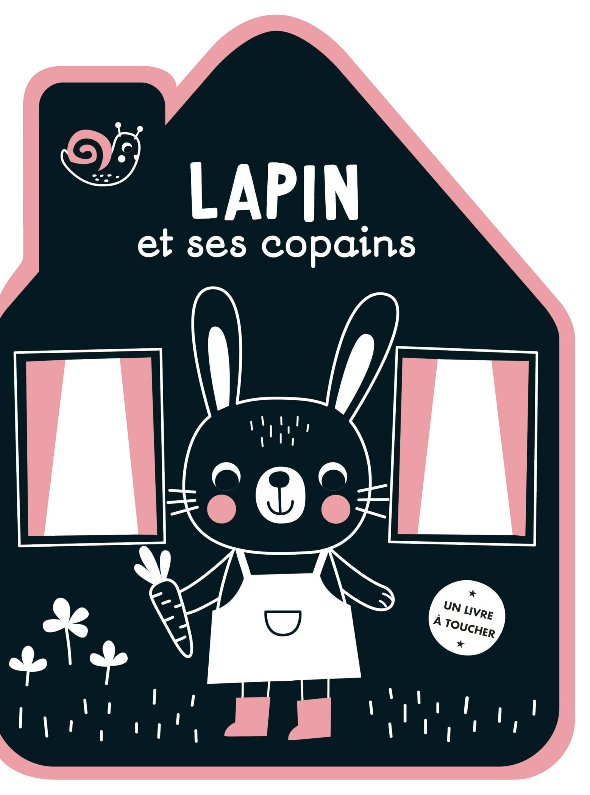 Ma maison feutrine - Lapin et ses copains Children's books
