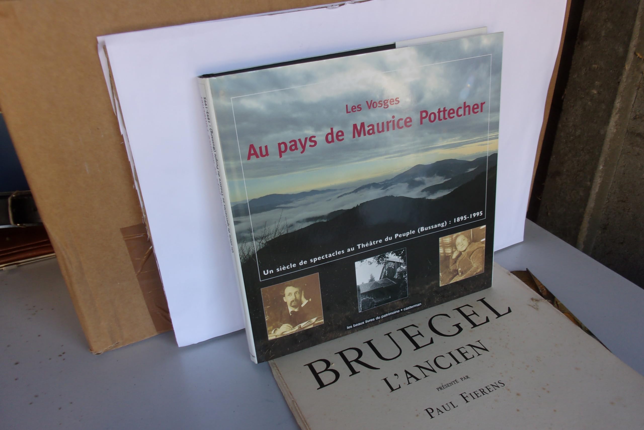 Vosges : au pays de maurice pottecher (Les): Les Vosges, un siècle de spectacles au Théâtre du peuple (Bussang), 1895-1995 Books