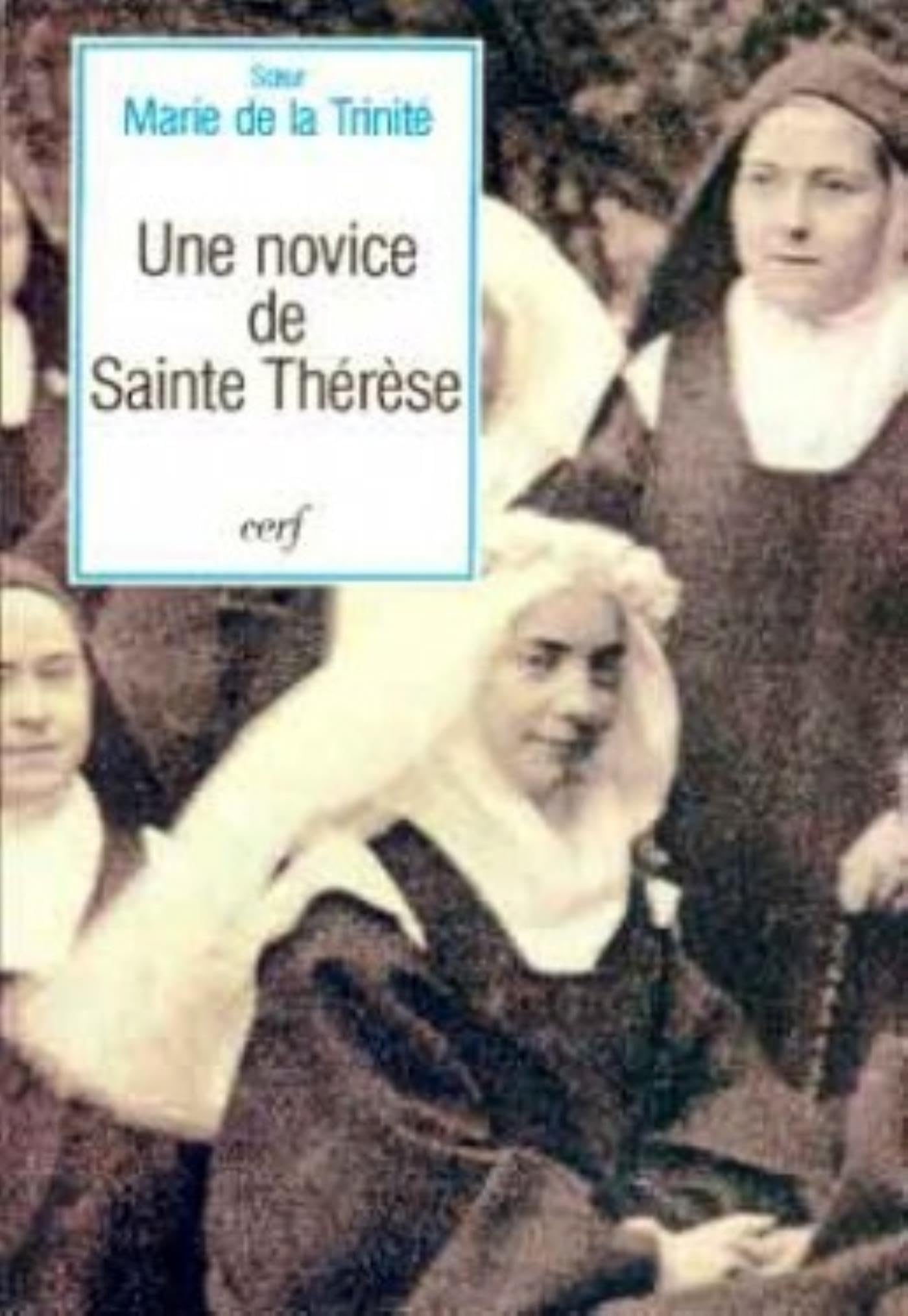 Une Novice de sainte Thérèse book