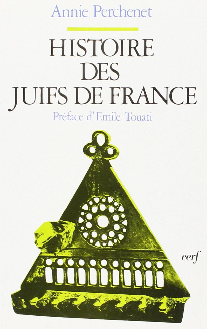 Histoire des juifs de France book