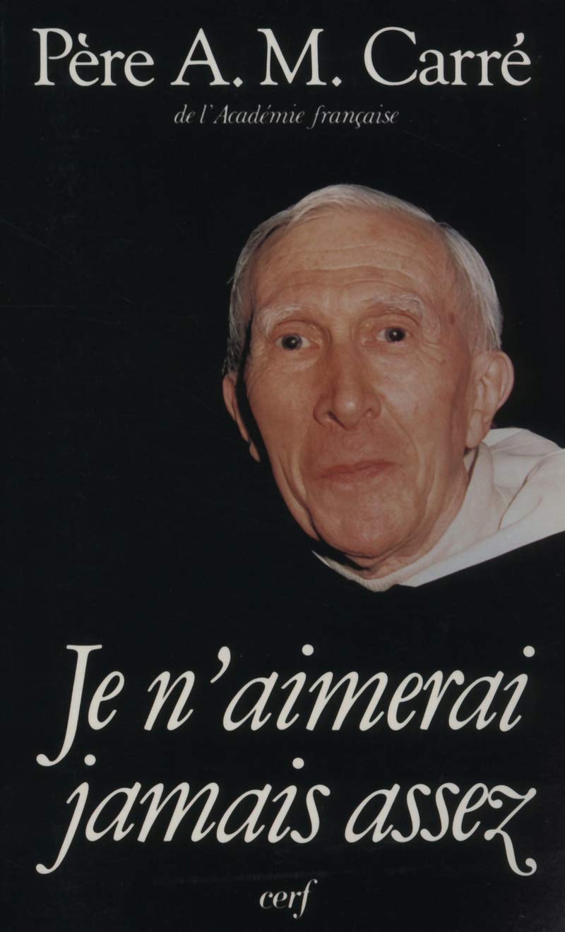Je n'aimerai jamais assez book