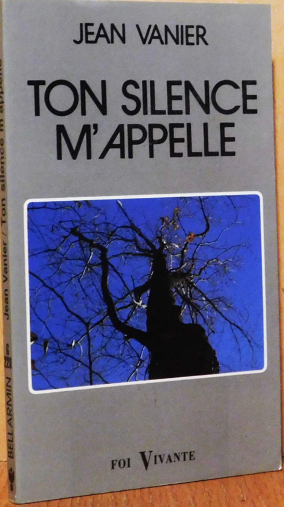 Ton silence m'appelle (Foi Vivante No 228) Books