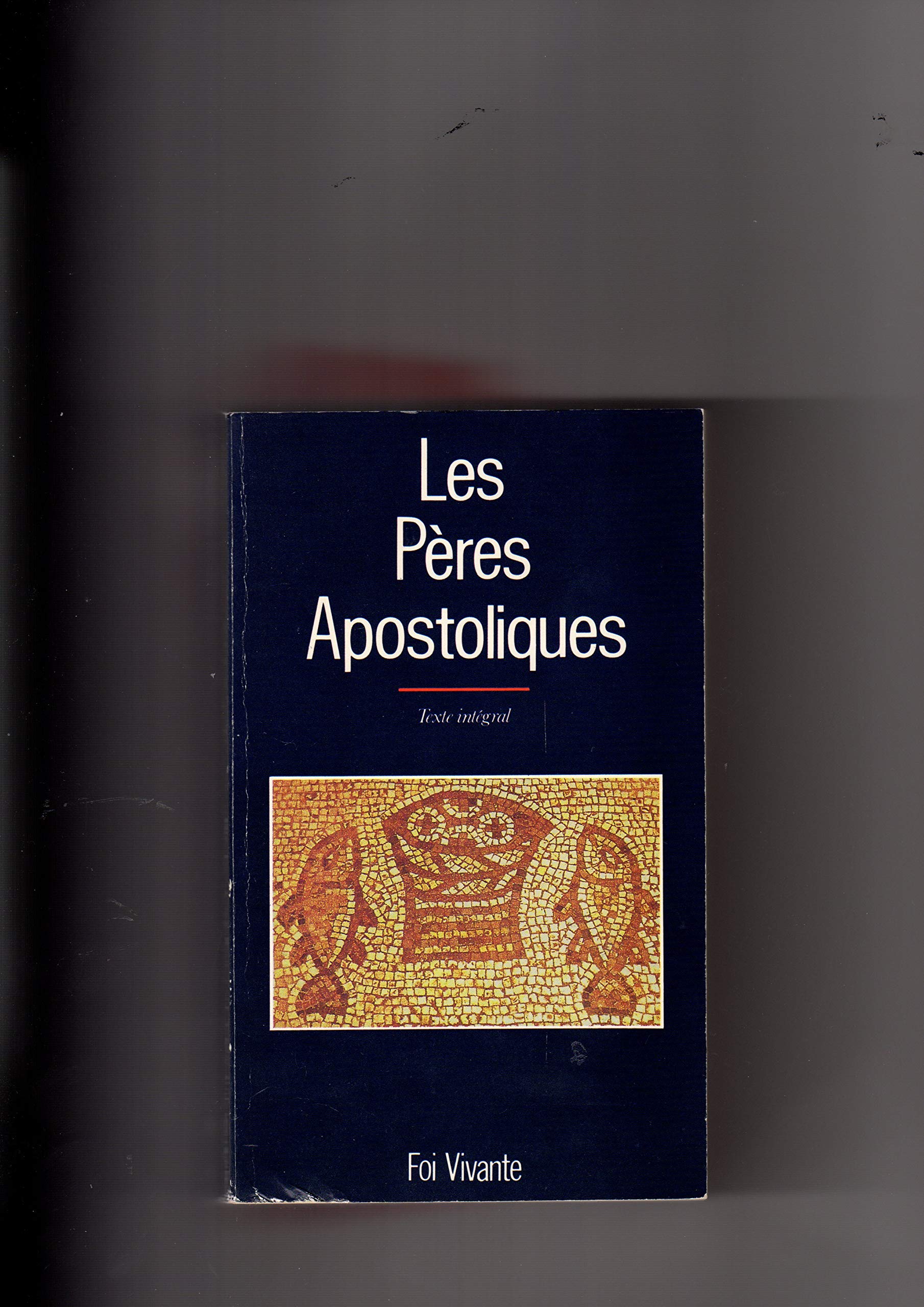Les Ecrits des Pères apostoliques Books