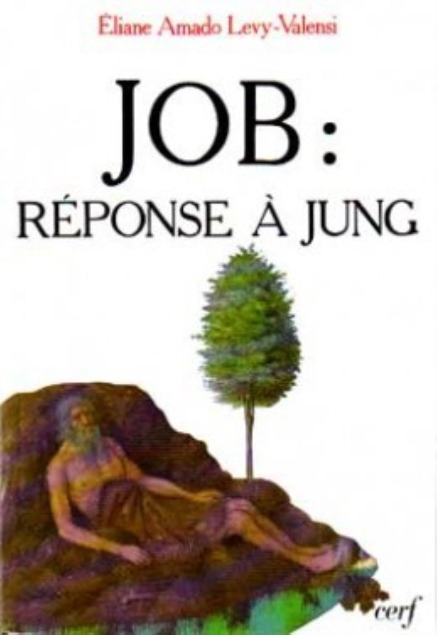 JOB. RÉPONSE À JUNG book
