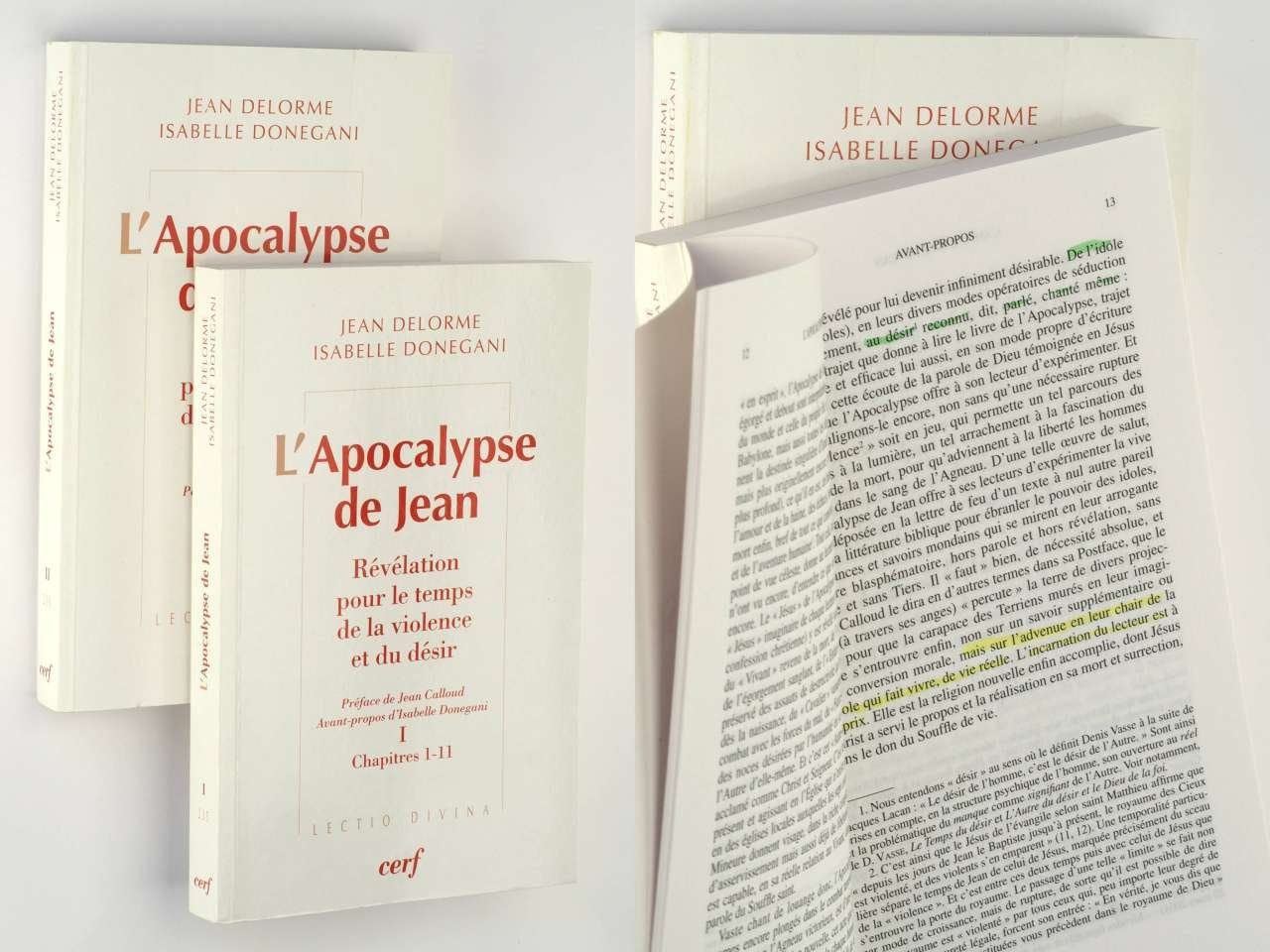 L'APOCALYPSE DE JEAN - TOME 2 CHAPITRES 12-22 Religion & Esotericism