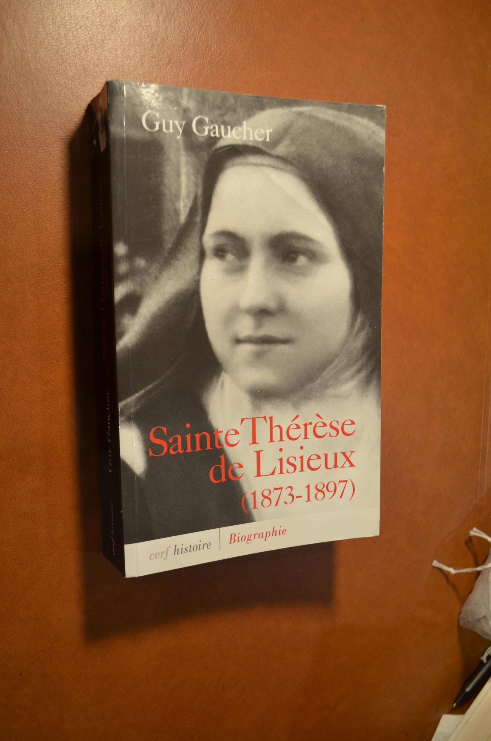 Sainte Thérèse de Lisieux (1873-1897) book