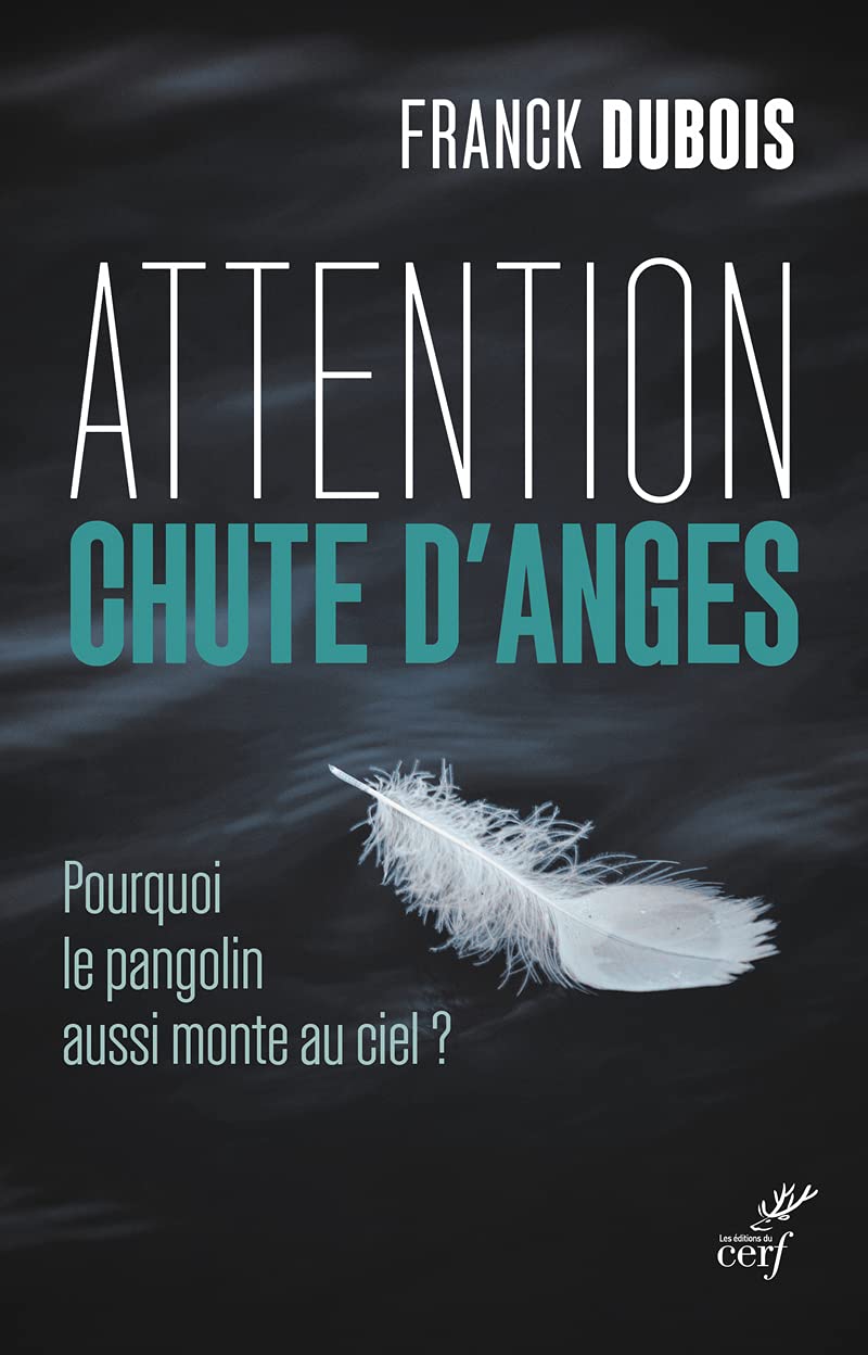 Attention chute d'anges - Pourquoi le pangolin aussi monte au ciel ? Religion & Esotericism
