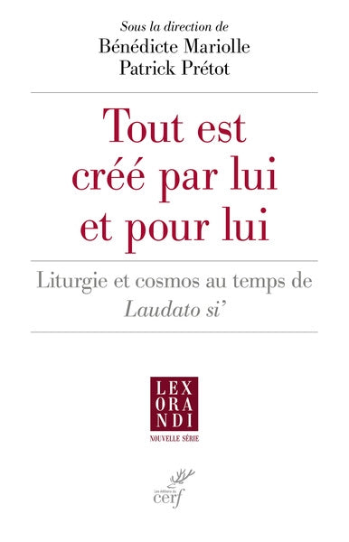 Tout est créé par lui et pour lui : liturgie et cosmos au temps de Laudato si' book