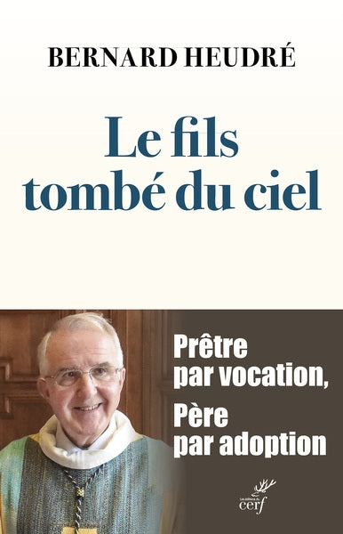 Product Image: Le fils tombé du ciel
