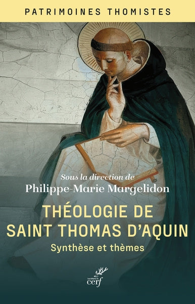 Théologie de saint Thomas d'Aquin : synthèses et thèmes Religion & Esotericism