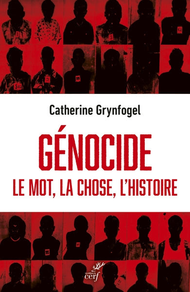 Génocide : le mot, la chose, l'histoire Essays & Short Stories