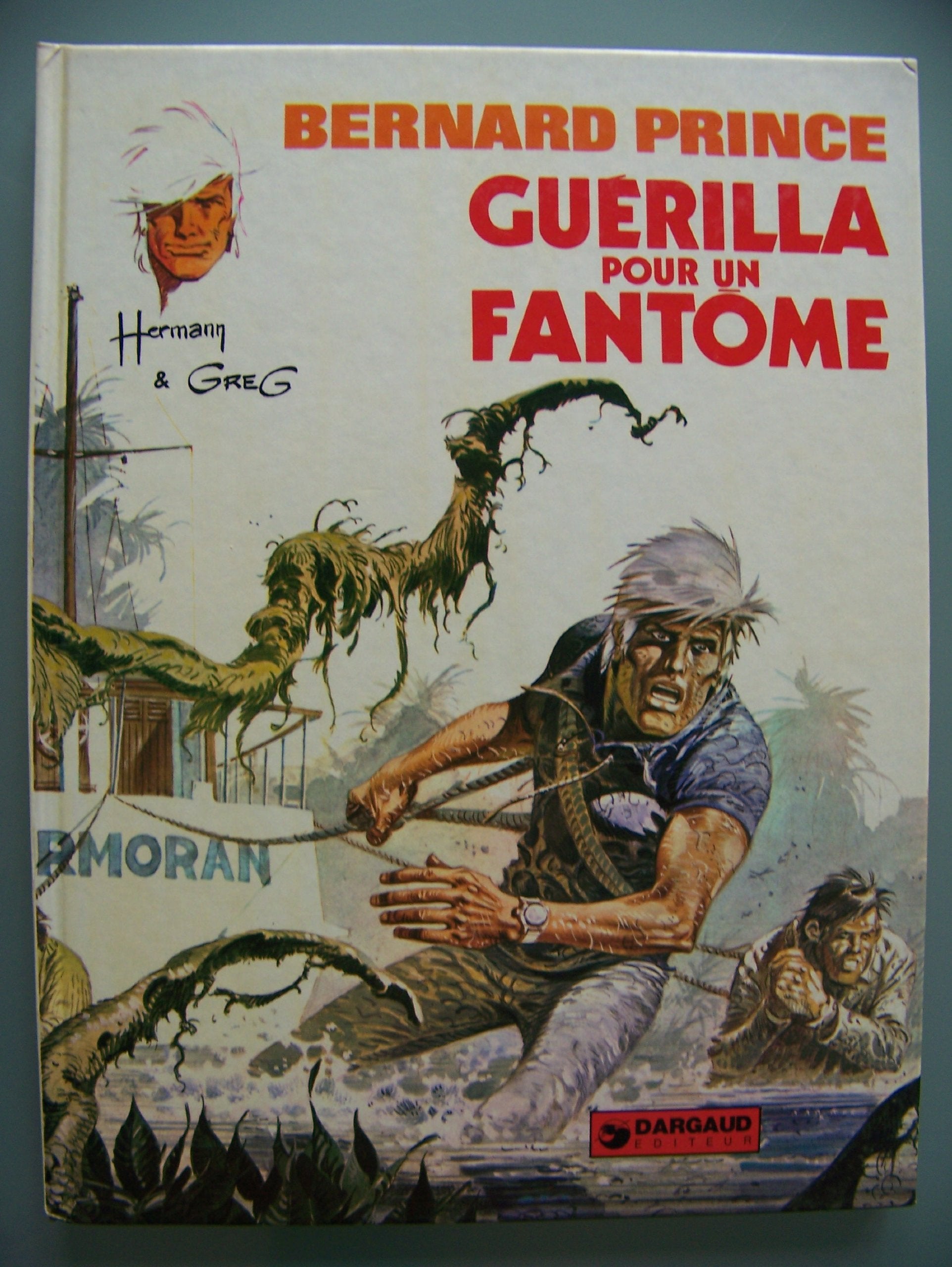 Guérilla pour un fantôme (Bernard Prince...) book