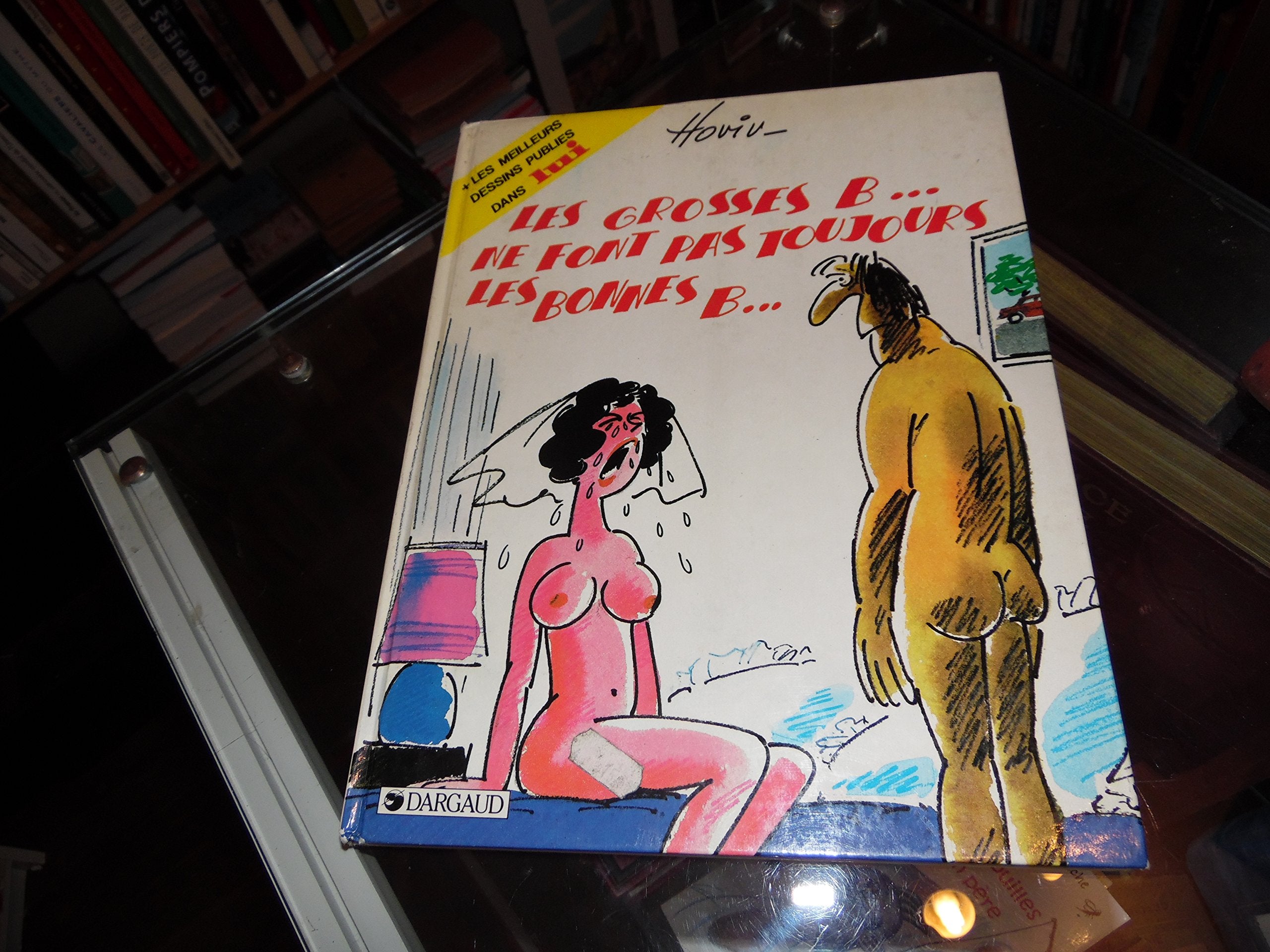 Les Grosses b. ne font pas toujours les bonnes b (Humour) book