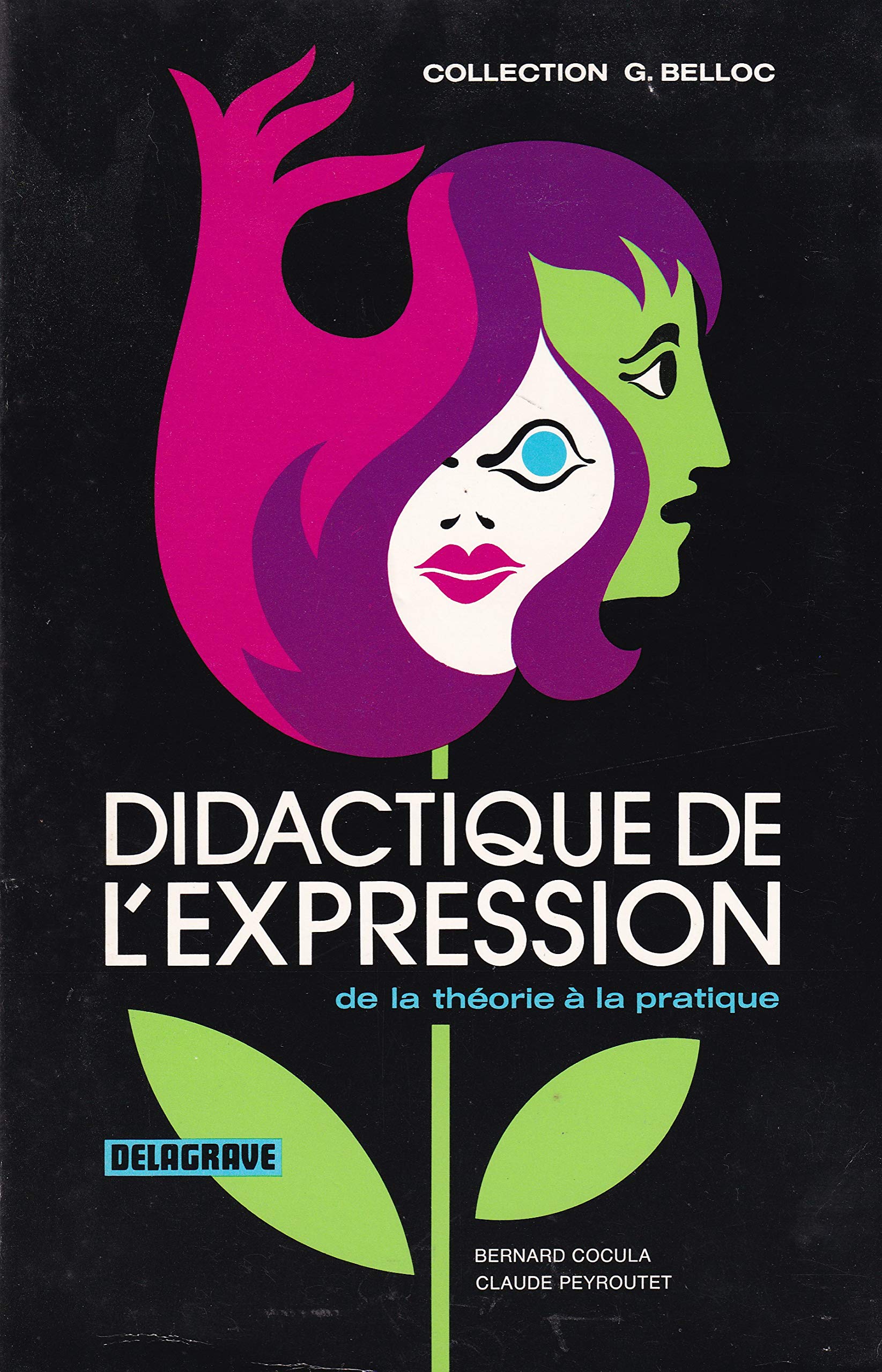 Didactique de l'expression, de la theorie a la pratique book