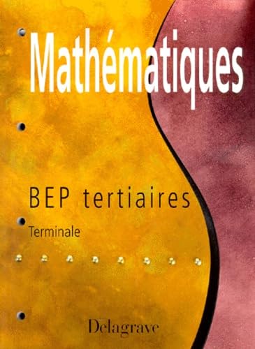 Fichier de mathématiques, BEP tertiaires, terminale book